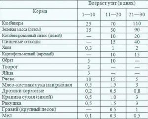 Сколько раз в день нужно кормить индоуток месячных