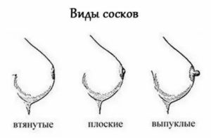 Как увеличивается соски у женщин при эрекции