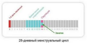 Могут ли пойти месячные через несколько дней после зачатия