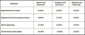 Размер матки при климаксе норма таблица