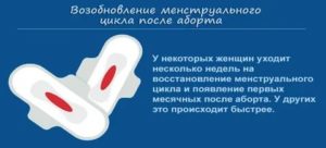 Когда начнутся месячные после прерывания беременности на большом сроке