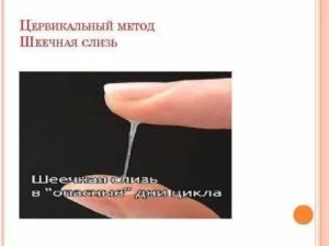 Можно ли забеременеть от смазки выделений слизи у мужчин во время месячных