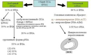 Как часто сдавать кровь на пса при раке простаты