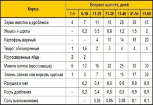 Чем кормить месячных бройлеров в домашних условиях для быстрого роста