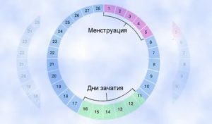 Что такое фертильный период менструального цикла