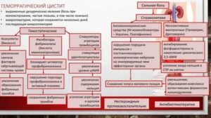 Какие антибиотики при геморрагическом цистите