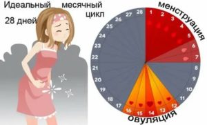 Почему когда у тебя заканчиваются месячные через неделю они снова начинаются