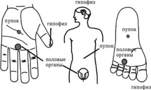 Какие точки массировать для улучшения потенции