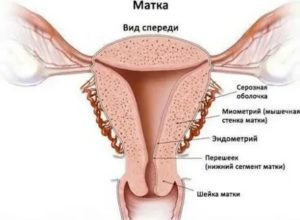 Может ли при климаксе матка быть в тонусе