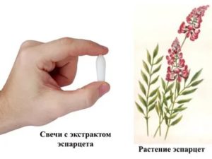 Свечи с эспарцетом простатит