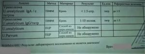 Можно ли заниматься сексом перед сдачей анализа на уреаплазмоз