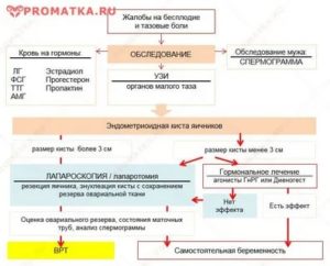 Схема приема витаминов при бесплодии