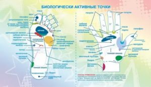 Какую точку массировать при цистите