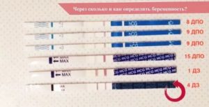 Можно ли забеременеть сразу после отмены визанны не дождавшись месячных