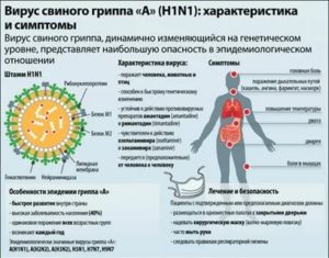 Что опаснее гепатит с свиной грипп или вич