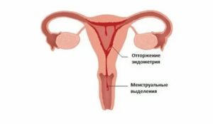 Почему у девушек идут месячные а у мальчиков нет месячных