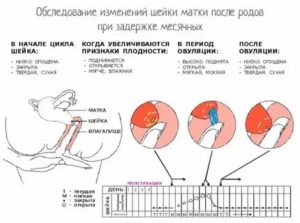 Почему между месячными маленький период времени