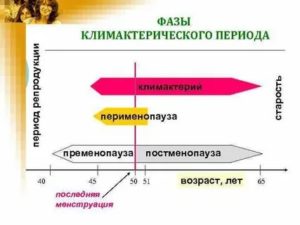 Гиперэстрогенная фаза климактерического периода