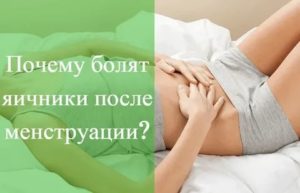 Почему болит правый яичник у женщин перед месячными