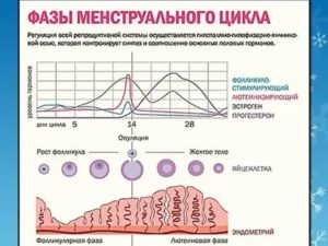 Почему перед месячными хочется дико есть