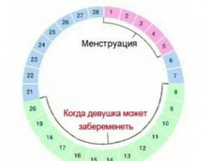 Может ли забеременеть если месячные длятся 2 дня