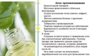 Можно ли принимать алоэ при цистите