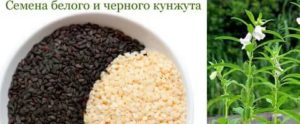 Кунжут при раке простаты