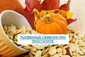 Тыквенные семечки польза для мужчин от простатита отзывы врачей