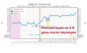 Как отличить овуляцию от имплантации