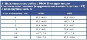 Сколько можно прожить при раке молочной железы 4 стадии