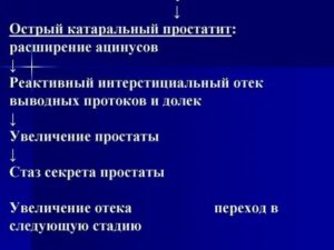 Простатит этиология патогенез клиника диагностика лечение