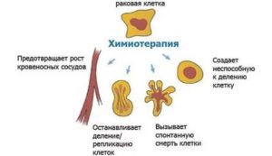 Красная химия белая химия при раке молочной железы что это такое