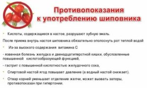 Шиповник при раке простаты польза и вред