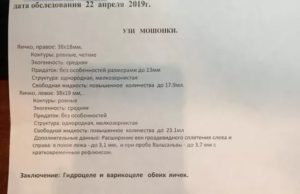 Узи мошонки протокол заключения