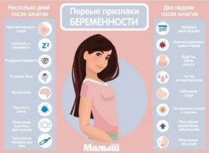 Как определить беременность после месячных без теста