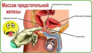 Как достать языком до простаты