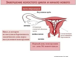 Может ли женщина забеременеть в 52 года если еще есть месячные