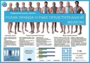 Профилактика рака предстательной железы памятка