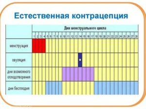 Сколько дней после месячных являются безопасными