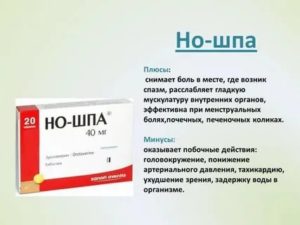 Сколько раз в день можно пить ношпу при месячных