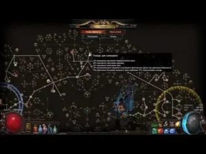 Билд на бандита бесплодные ножи в path of exile