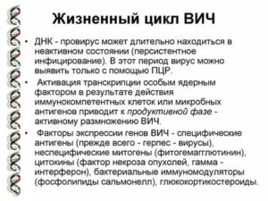 Что такое провирусная днк вич