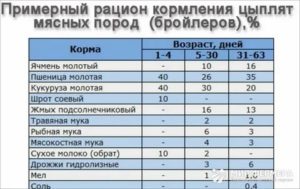 Можно ли кормить месячных бройлеров овсом