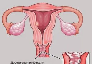 Можно ли заниматься интимной жизнью перед месячными