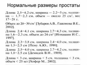 Нормальные размеры предстательной железы по узи у взрослых