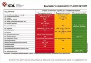 Где можно сдать анализ на раковые клетки матки