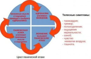 Почему перед месячными появляется чувство тревоги