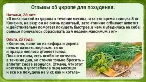 Можно ли есть укроп при месячных