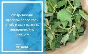 Сколько крапивы выпить чтобы остановить месячные если они