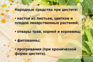 Как быстро вылечить цистит народными средствами отзывы